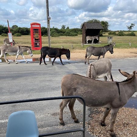 New Forest View Beaulieu Dış mekan fotoğraf